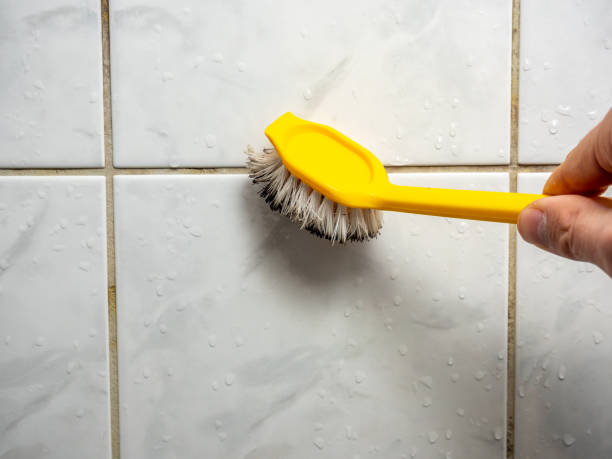 Certified Mold Removal in Coopersburg, PA
