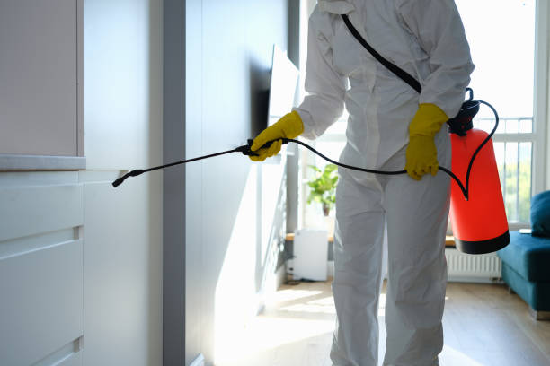Best Professional Mold Removal  in Coopersburg, PA