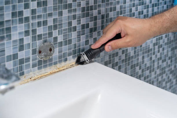 Best Mold Testing and Removal  in Coopersburg, PA