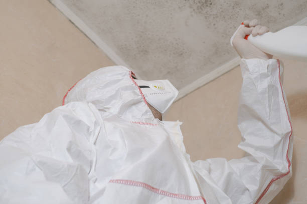 Mold Testing and Removal in Coopersburg, PA